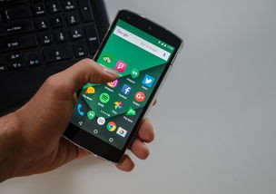 (九州行吧)探秘九州行2微信小程序，多元化分析与常见问答