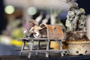 (秘密花园日语怎么写)秘密花园是一部源自日本的经典绘本，以其独特的插画风格和丰富的想象力，深受全球读者的喜爱。以下是一篇关于秘密花园的原创文章，共计约1670字，从多个角度进行分析介绍，并包含常见问答及参考文献。