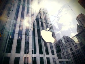 (微光之镜主题曲是谁唱的)微光之镜主题曲解析，探寻声音背后的故事