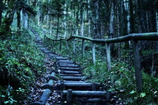 (超冒险物语小镇存档迁移失败)超冒险物语小镇，一场奇幻之旅