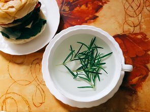(饮食小游戏)中等饮食游戏补充内容解析，多元视角下的探讨