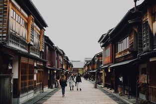 (皮皮虾传奇东土村建设全貌)皮皮虾传奇中的东土村，是一个充满神秘色彩的地方。在故事中，东土村的建设完成后，它成为了一个充满活力、和谐共生的村庄。以下是一篇1107字的原创文章，从多元化方向分析介绍东土村的建设成果，并提出问题，同时包含常见问答(FAQ)和参考文献。