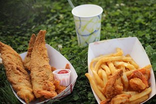 (懒人美食日记在线观看)懒人美食日记，轻松制作美味佳肴的秘诀