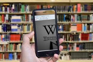(偌星wiki)深入解析偌星手机版外服官方正版安装，功能、特色与常见问题解答