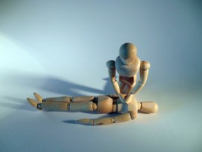 (疯狂的救援绘本)疯狂的救援，一场充满挑战与感动的生命接力