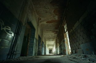(迷失之夜单机离线版)迷失之夜单机版，探索与悬疑的交织之旅