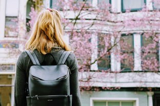 (旅行少女游戏)旅行少女推荐，探索未知，发现美好——旅行攻略指南