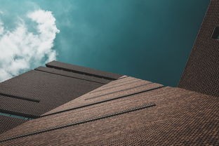 (伊丁天堂账号交易平台)伊丁天堂账号交易，市场动态与问题探讨