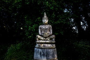 (山海经鹊山招摇山的原文朗读)山海经是中国古代的一部地理志和神话集，其中记载了大量的山川、地理、神话传说等内容。鹊山和招摇山作为山海经中提到的两座山，其拼音注解为我们提供了了解这两座山的基本信息。以下是对鹊山和招摇山的详细介绍，包括分析、问题解答以及参考文献。