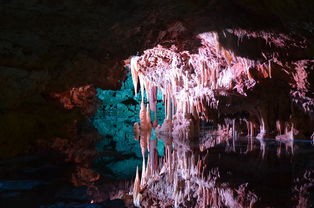 (山海经鹊山招摇山的原文朗读)山海经是中国古代的一部地理志和神话集，其中记载了大量的山川、地理、神话传说等内容。鹊山和招摇山作为山海经中提到的两座山，其拼音注解为我们提供了了解这两座山的基本信息。以下是对鹊山和招摇山的详细介绍，包括分析、问题解答以及参考文献。