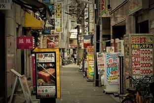 (代号烬阵容最建议的三个角色)代号烬，一款充满激情与挑战的战斗游戏