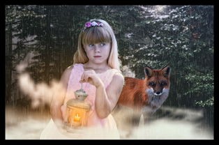 (梦幻少女游戏无需实名认证)梦幻少女游戏，无需实名，揭秘虚拟世界的魅力与争议