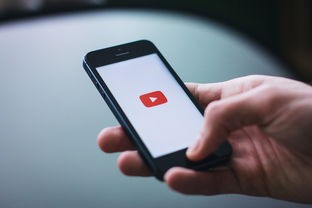 (求生之路手机版下载)求生之路，探索虚拟游戏中的生存智慧与社交互动