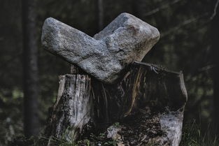 (傻子山洞奇遇阴阳神功)乡村小神农是一部以农村生活为背景的小说，讲述了主人公在乡村中通过种植和养殖，逐渐成长为一位农业专家的故事。以下是根据乡村小神农免费阅读补充内容所撰写的原创文章，包含多元化分析、常见问答以及参考文献。